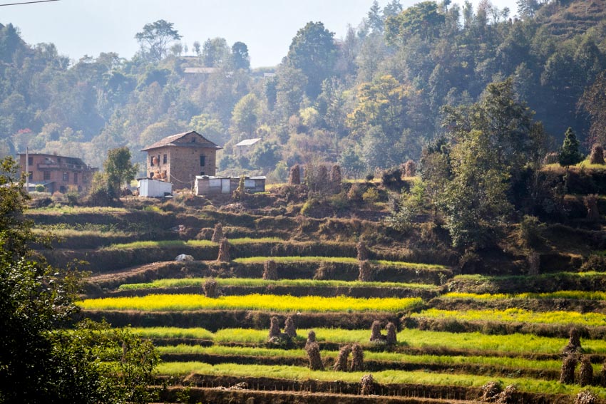 Acupuncture Relief Project  | Good Health Nepal | Andrew Schlabach