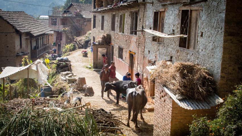 Acupuncture Relief Project  | Good Health Nepal | Andrew Schlabach