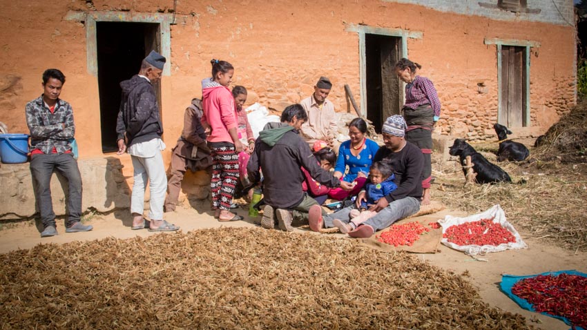 Acupuncture Relief Project  | Good Health Nepal | Andrew Schlabach