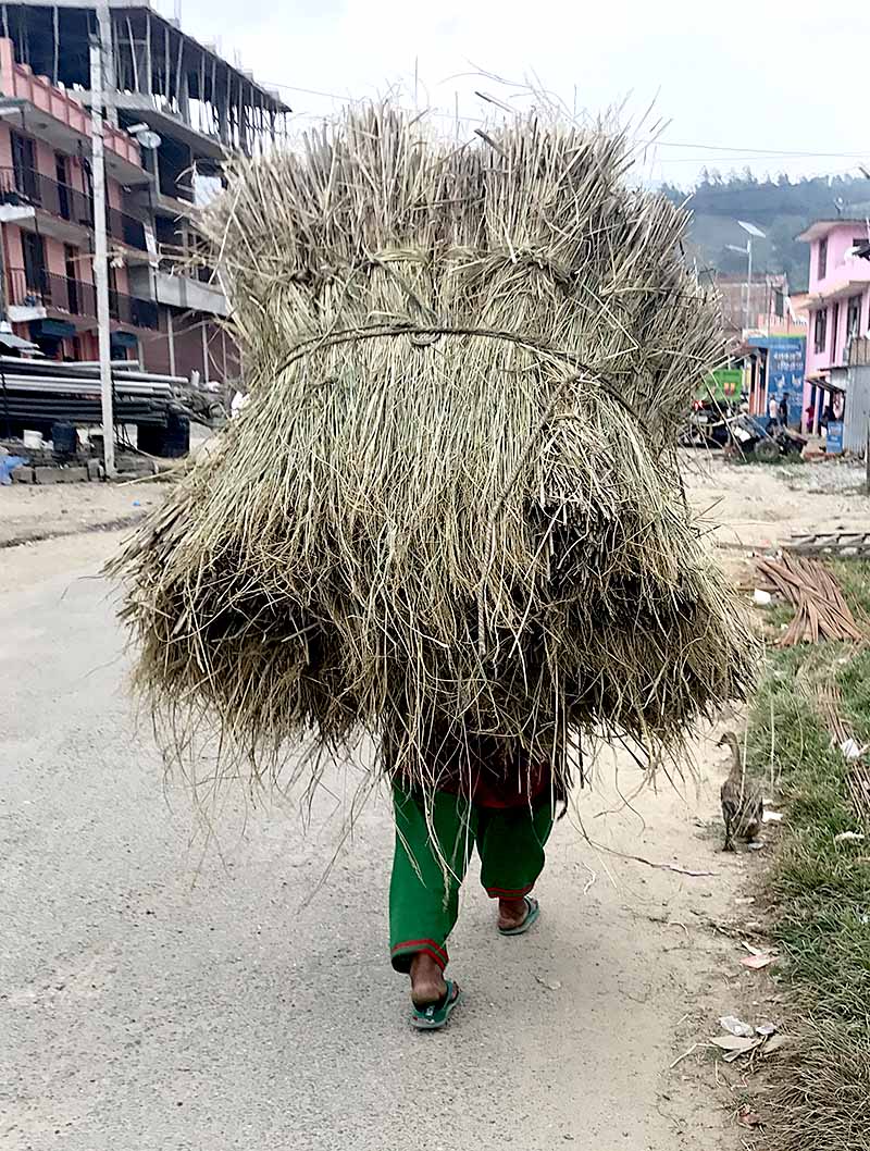 Acupuncture Relief Project  | Good Health Nepal | Lynn Minervini