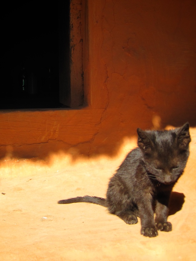 Rachael Haley | Acupuncture Volunteer Nepal