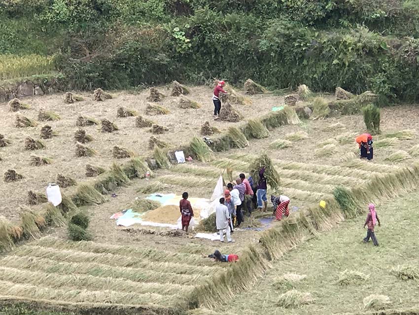 Acupuncture Relief Project  | Good Health Nepal | Raina Chang