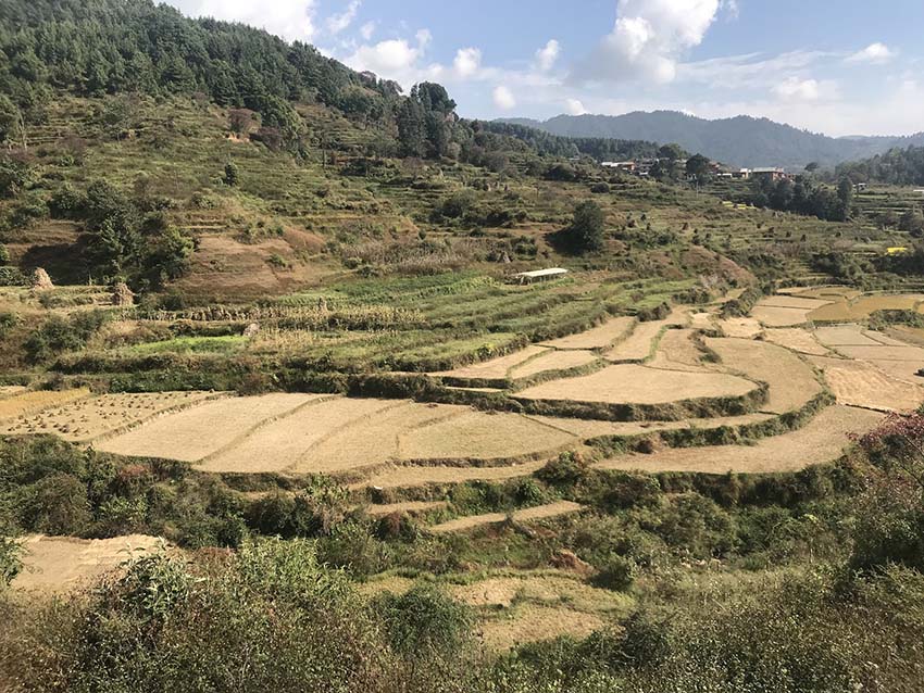 Acupuncture Relief Project  | Good Health Nepal | Raina Chang