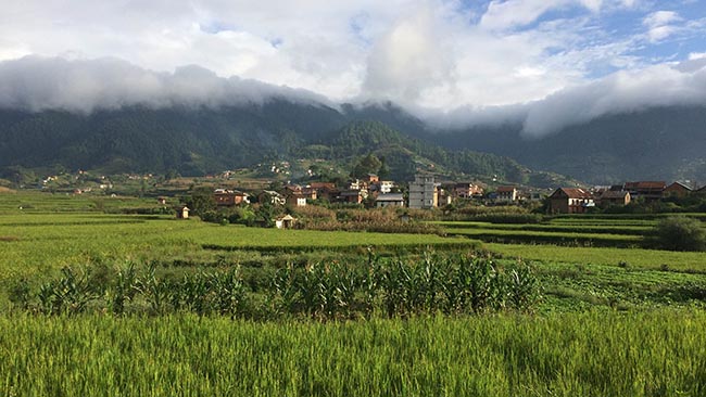 Acupuncture Relief Project  | Good Health Nepal | Sandy Homer