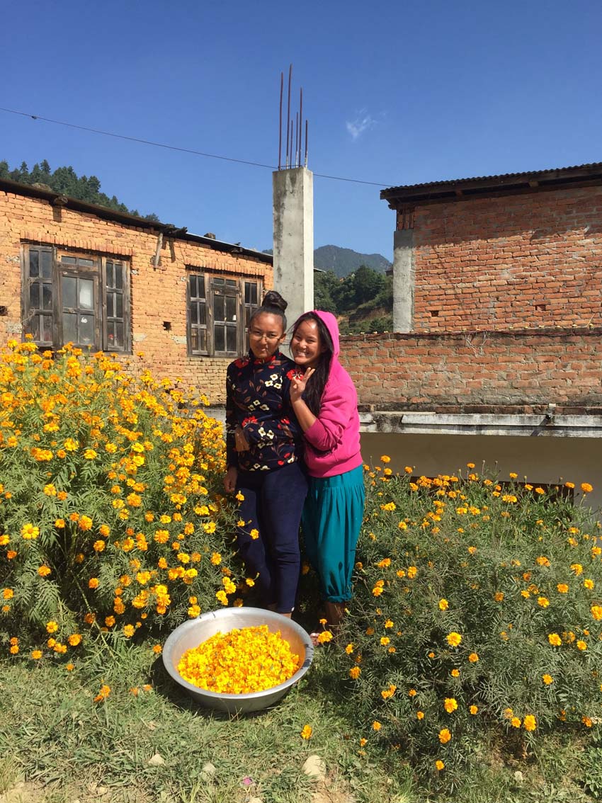 Acupuncture Relief Project  | Good Health Nepal | Beth Randles