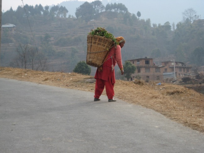 Acupuncture Relief Project  | Good Health Nepal | Emma Sanchez