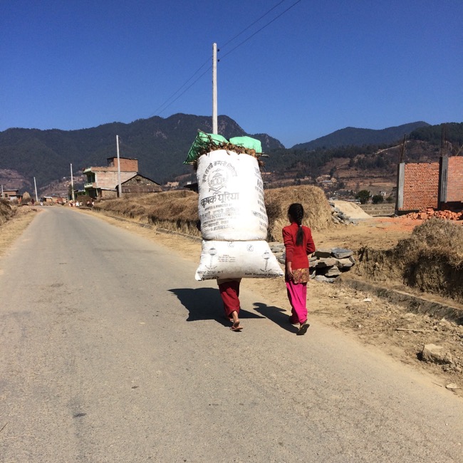 Acupuncture Relief Project  | Good Health Nepal | Emma Sanchez