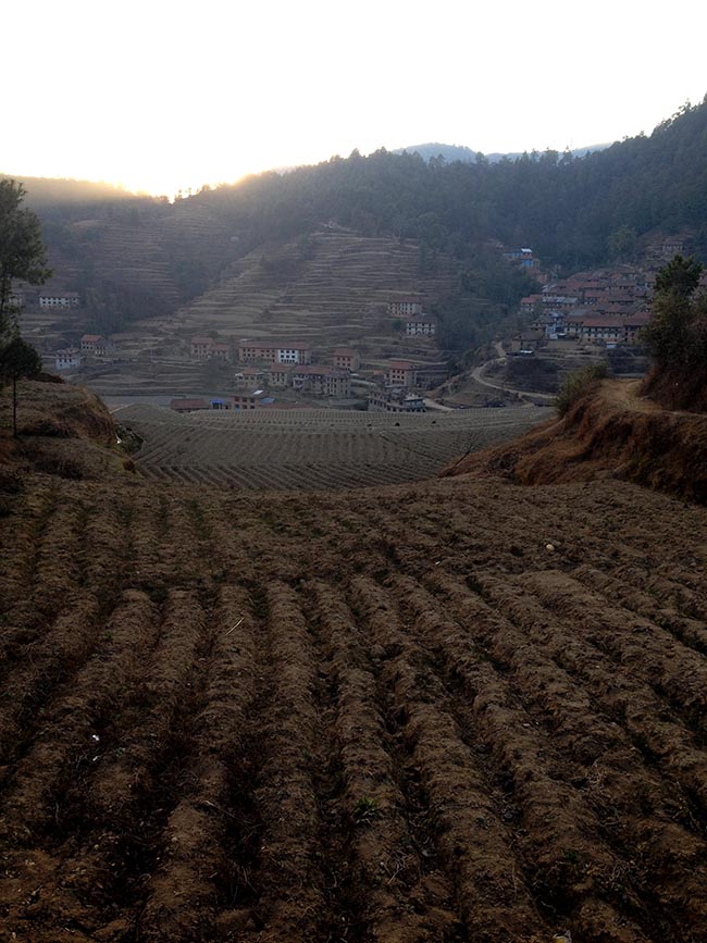 Acupuncture Relief Project  | Good Health Nepal | Stacey Kett