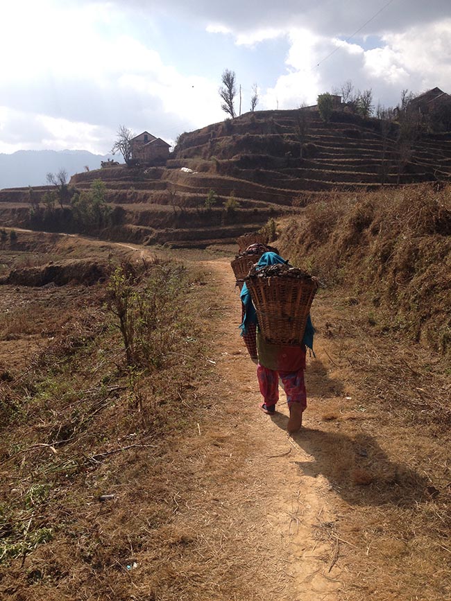 Acupuncture Relief Project  | Good Health Nepal | Stacey Kett