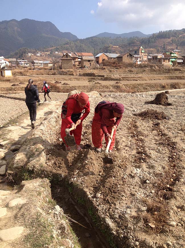 Acupuncture Relief Project  | Good Health Nepal | Stacey Kett