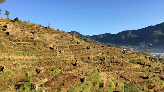 Acupuncture Relief Project  | Good Health Nepal | Sugandhi Jordan