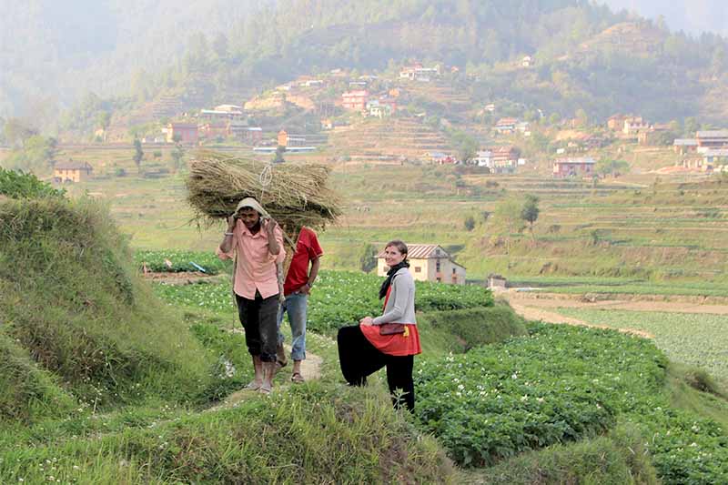 Acupuncture Relief Project  | Good Health Nepal | Trudy Wendelin