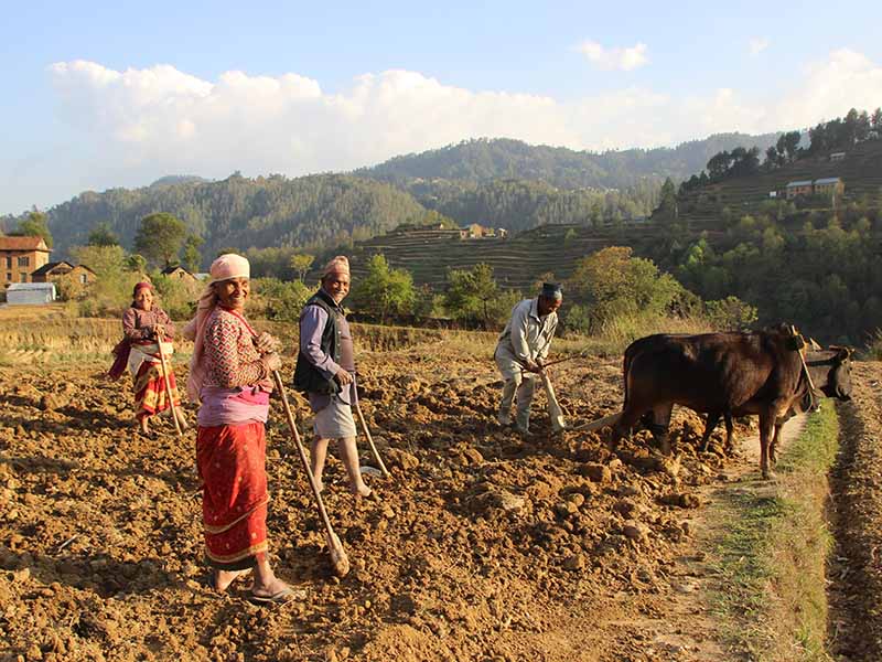 Acupuncture Relief Project  | Good Health Nepal | Trudy Wendelin